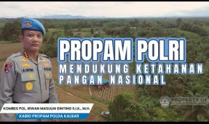 IMG-20260520-WA0002