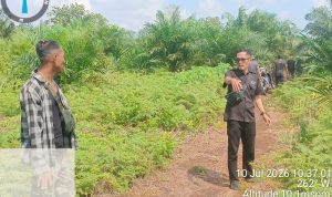 IMG-20260711-WA0001